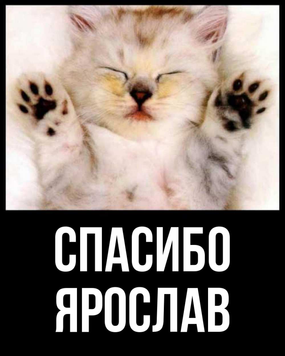Открытка на каждый день с именем, Ярослав Спасибо маленький котенок Прикольная открытка с пожеланием онлайн скачать бесплатно 
