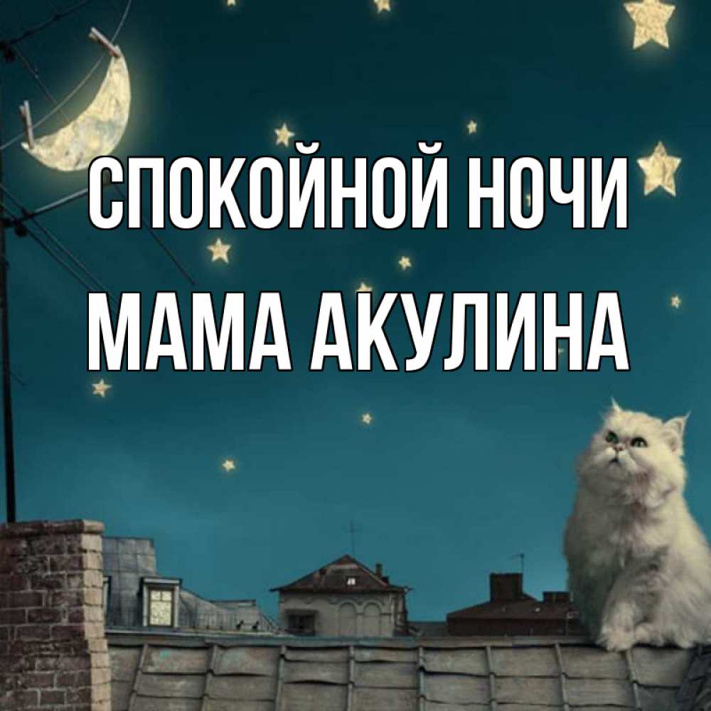 Открытка на каждый день с именем, Мама-Акулина Спокойной ночи белый кот сидит на крыше Прикольная открытка с пожеланием онлайн скачать бесплатно 