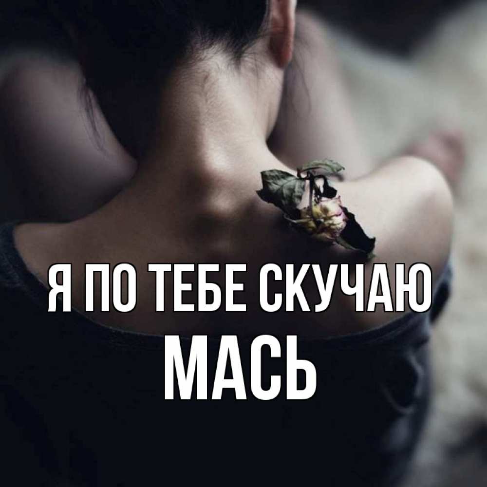 Открытка на каждый день с именем, Мась Я по тебе скучаю засох цветок Прикольная открытка с пожеланием онлайн скачать бесплатно 