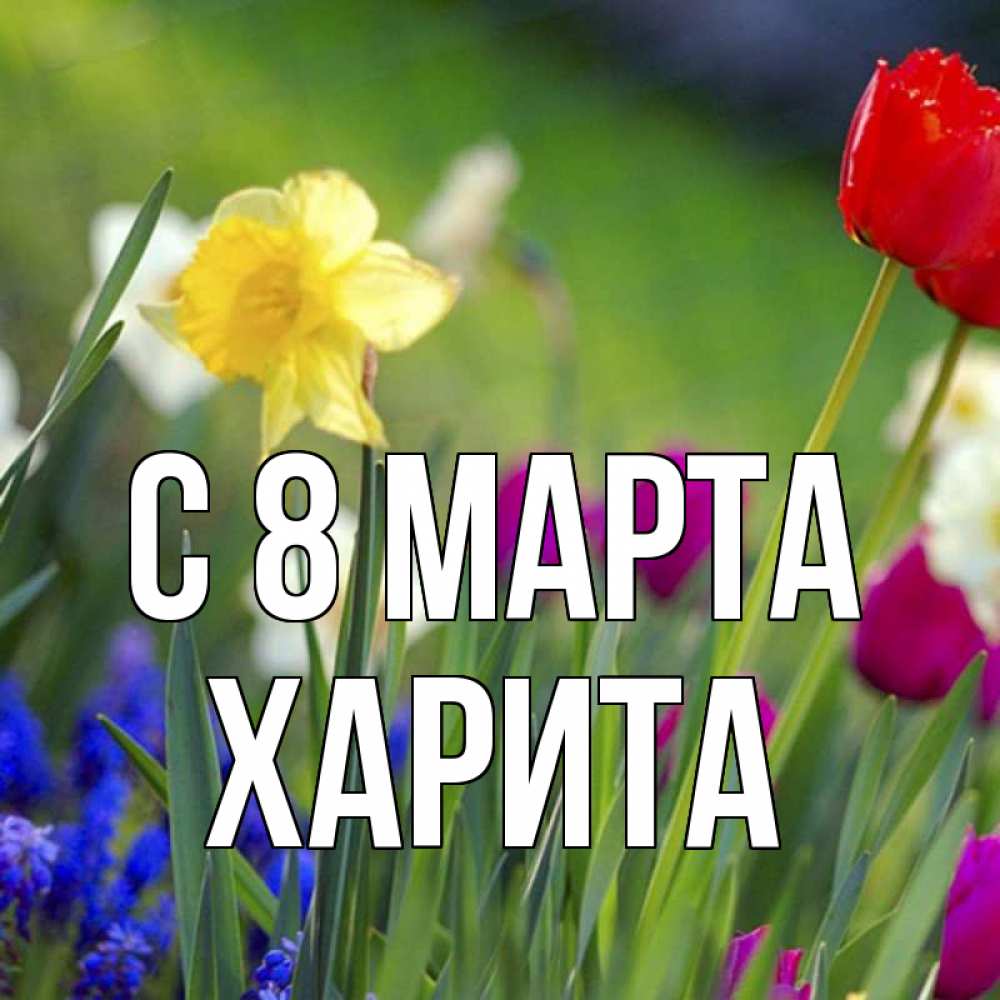 Открытка на каждый день с именем, Харита С 8 МАРТА международный женский день 3 Прикольная открытка с пожеланием онлайн скачать бесплатно 