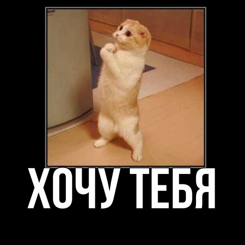 Картинка  с именем , Хочу тебя
