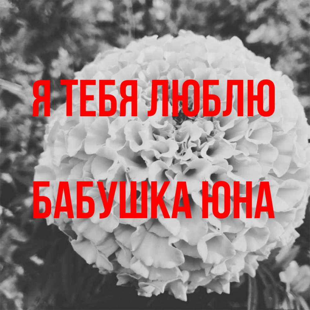 Открытка на каждый день с именем, Бабушка-Юна Я тебя люблю подпись Прикольная открытка с пожеланием онлайн скачать бесплатно 