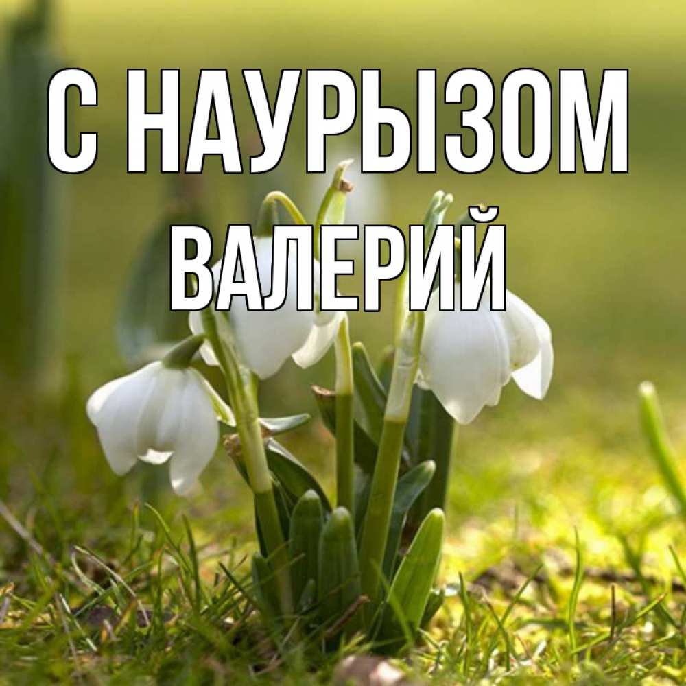 Открытка на каждый день с именем, Валерий С наурызом ранние цветы 2 Прикольная открытка с пожеланием онлайн скачать бесплатно 