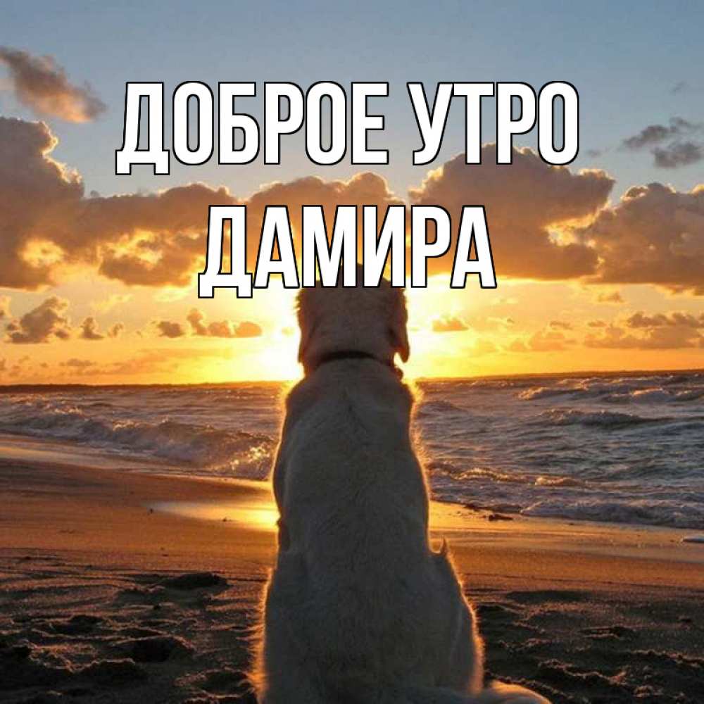 Открытка на каждый день с именем, Дамира Доброе утро восход солнца Прикольная открытка с пожеланием онлайн скачать бесплатно 