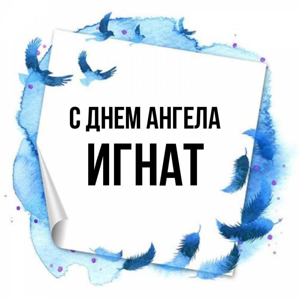 Открытка на каждый день с именем, Игнат С днем ангела красивые птицы летят Прикольная открытка с пожеланием онлайн скачать бесплатно 
