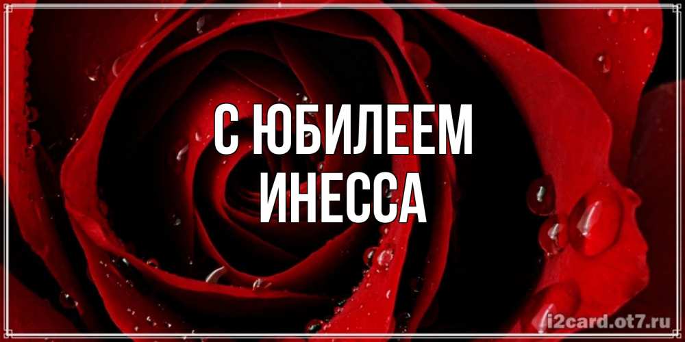 Открытка на каждый день с именем, Инесса С юбилеем крупная бордовая роза Прикольная открытка с пожеланием онлайн скачать бесплатно 