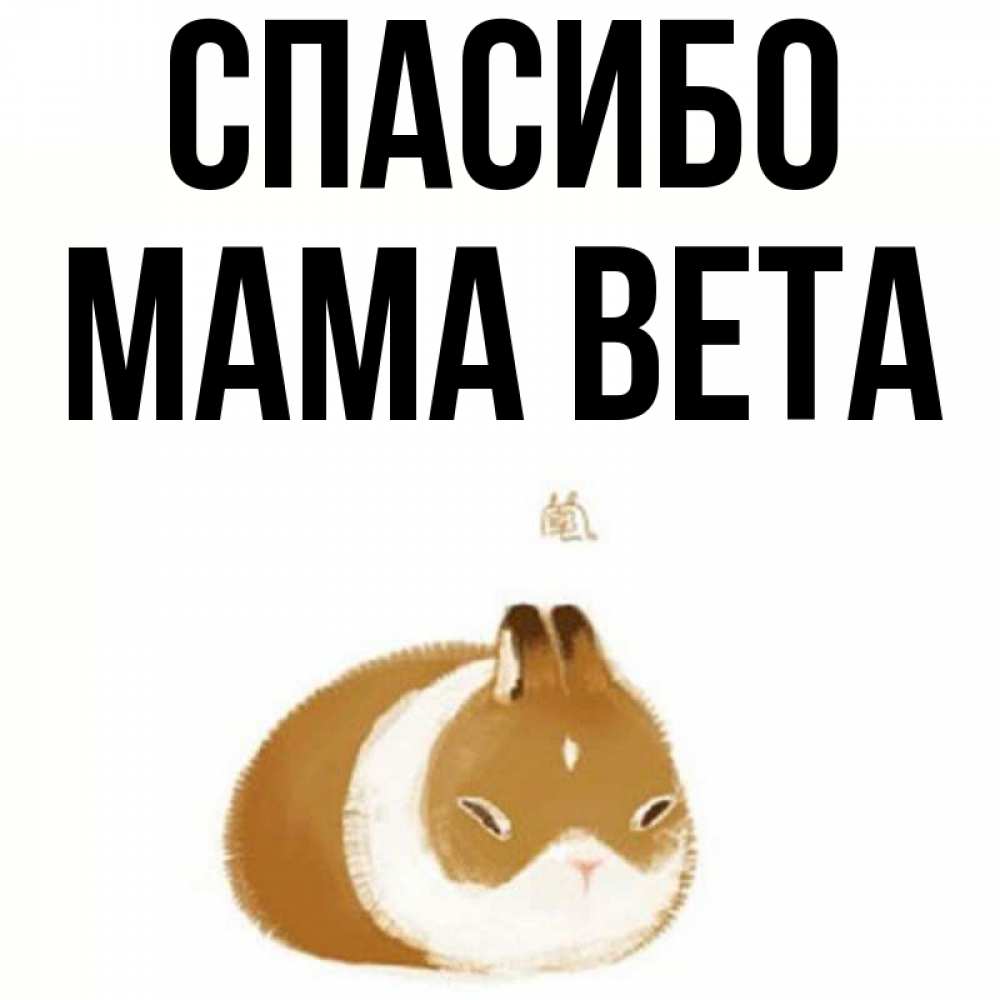Открытка на каждый день с именем, Мама-Вета Спасибо коричнево белый домашний питомец Прикольная открытка с пожеланием онлайн скачать бесплатно 