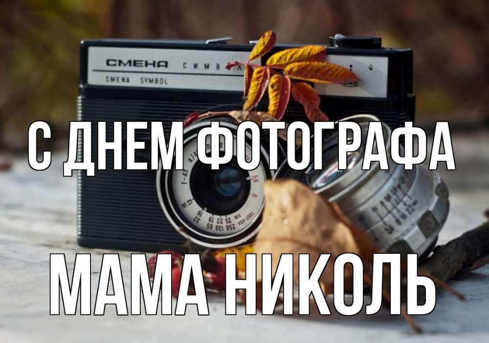 Открытка на каждый день с именем, Мама-Николь С днем фотографа с днем фотографа Прикольная открытка с пожеланием онлайн скачать бесплатно 