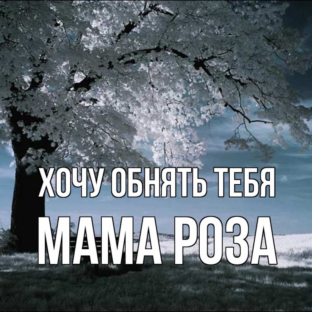 Открытка на каждый день с именем, Мама-Роза Хочу обнять тебя дерево Прикольная открытка с пожеланием онлайн скачать бесплатно 