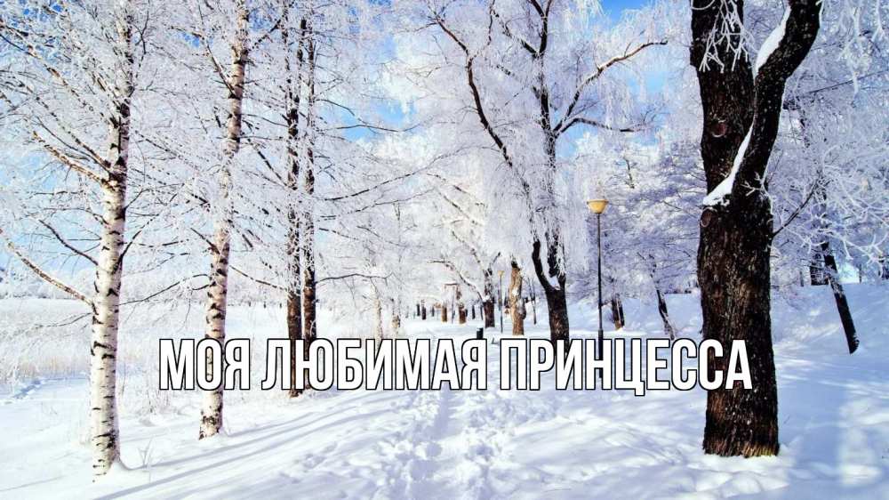 Открытка на каждый день с именем, Моя-Любимая-Принцесса Главная зимний лес Прикольная открытка с пожеланием онлайн скачать бесплатно 