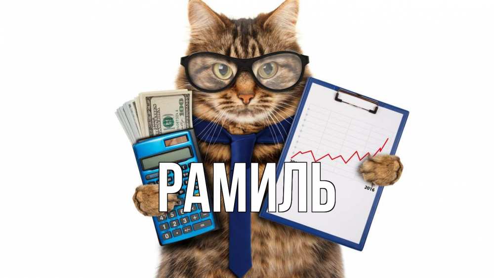 Открытка на каждый день с именем, Рамиль Главная с днем бухгалтера Прикольная открытка с пожеланием онлайн скачать бесплатно 