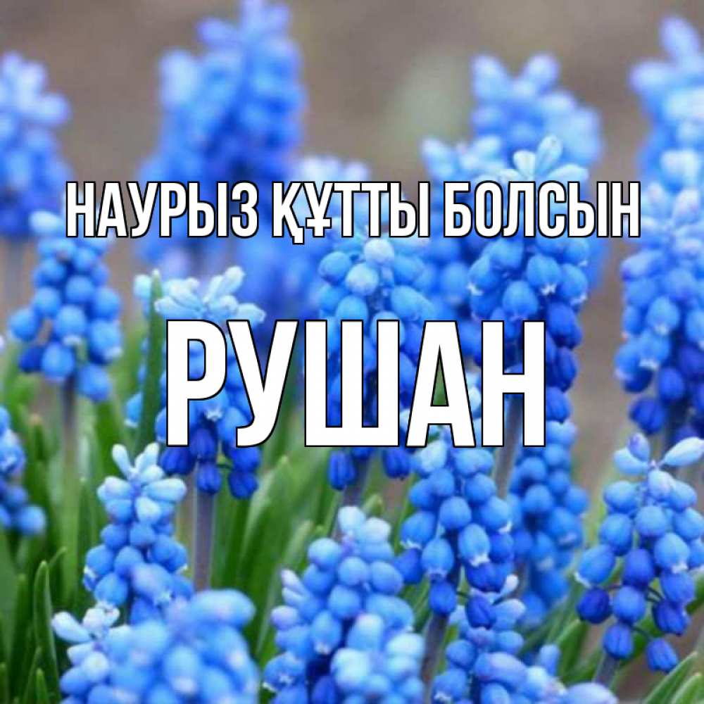 Открытка на каждый день с именем, Рушан Наурыз құтты болсын Поздравительная открытка для женщин с цветами на праздничную дату Прикольная открытка с пожеланием онлайн скачать бесплатно 
