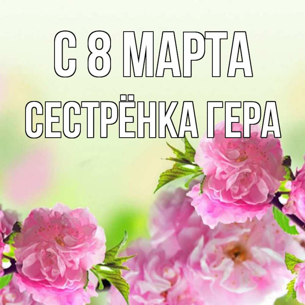 Открытка на каждый день с именем, Сестрёнка-Гера С 8 МАРТА цветы Прикольная открытка с пожеланием онлайн скачать бесплатно 