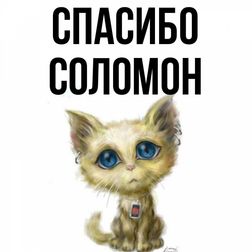 Открытка на каждый день с именем, Соломон Спасибо рисованный кот благодарит вас Прикольная открытка с пожеланием онлайн скачать бесплатно 