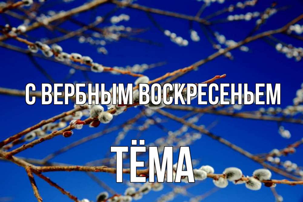 Открытка на каждый день с именем, Тёма С вербным воскресеньем верба Прикольная открытка с пожеланием онлайн скачать бесплатно 