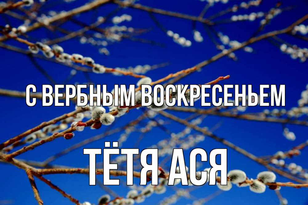 Открытка на каждый день с именем, Тётя-Ася С вербным воскресеньем верба Прикольная открытка с пожеланием онлайн скачать бесплатно 