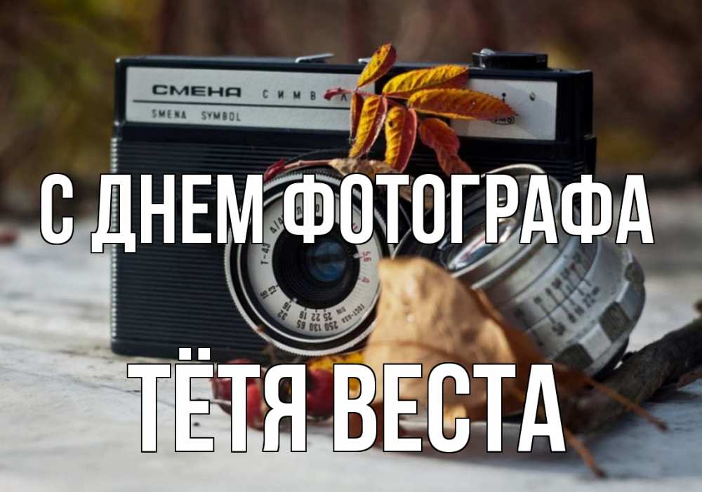 Открытка на каждый день с именем, Тётя-Веста С днем фотографа с днем фотографа Прикольная открытка с пожеланием онлайн скачать бесплатно 