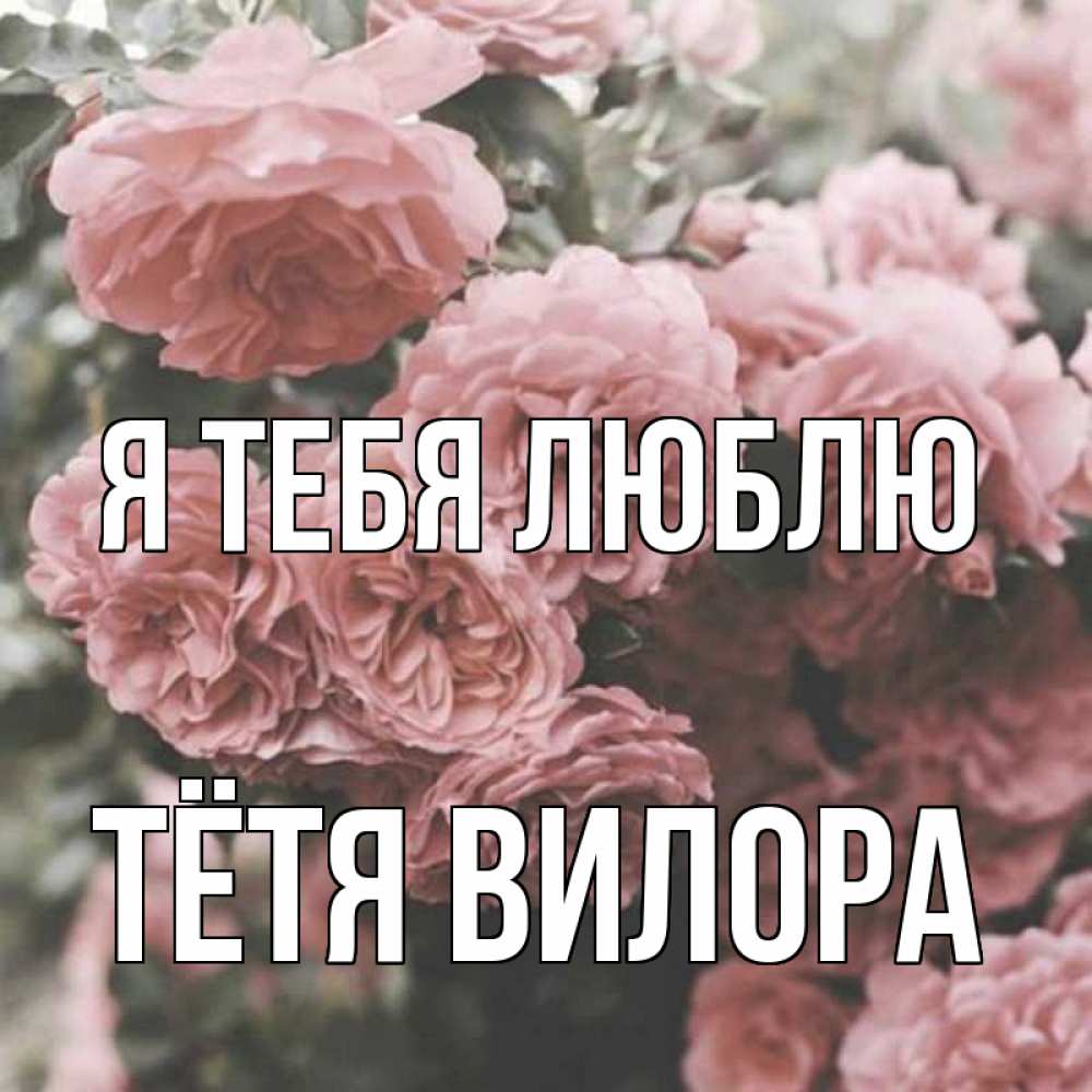 Открытка на каждый день с именем, Тётя-Вилора Я тебя люблю розы 3 Прикольная открытка с пожеланием онлайн скачать бесплатно 