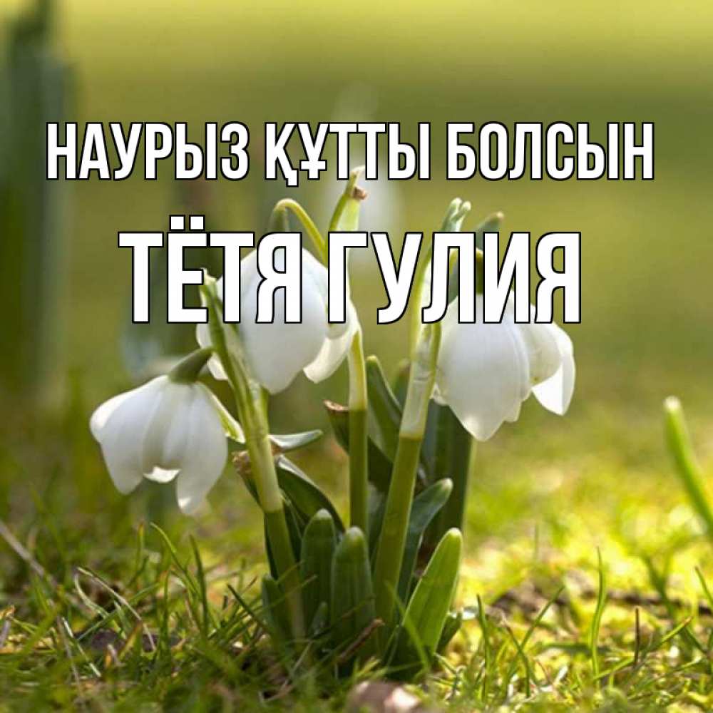 Открытка на каждый день с именем, Тётя-Гулия Наурыз құтты болсын ранние цветы 2 Прикольная открытка с пожеланием онлайн скачать бесплатно 