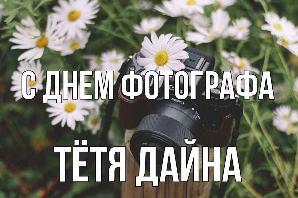 Открытка на каждый день с именем, Тётя-Дайна С днем фотографа с днем фотографа Прикольная открытка с пожеланием онлайн скачать бесплатно 