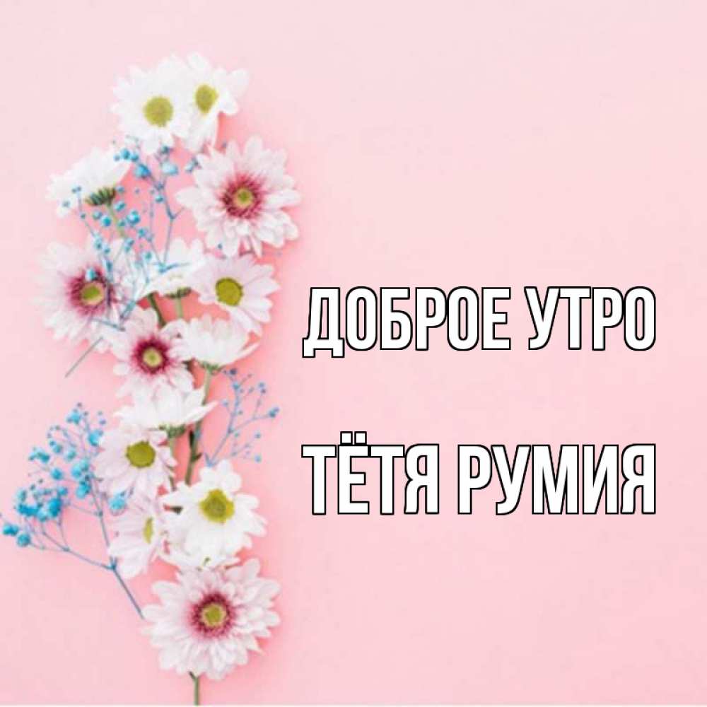 Открытка на каждый день с именем, Тётя-Румия Доброе утро цветы с подписью Прикольная открытка с пожеланием онлайн скачать бесплатно 