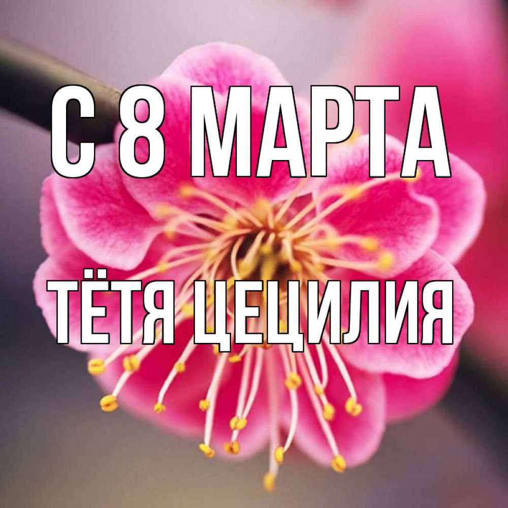 Открытка на каждый день с именем, Тётя-Цецилия С 8 МАРТА цветы Прикольная открытка с пожеланием онлайн скачать бесплатно 