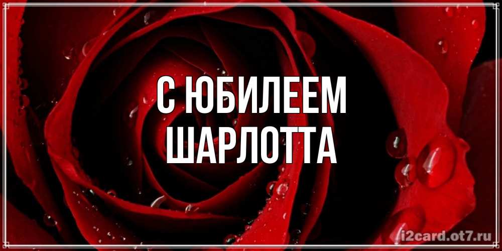 Открытка на каждый день с именем, Шарлотта С юбилеем крупная бордовая роза Прикольная открытка с пожеланием онлайн скачать бесплатно 