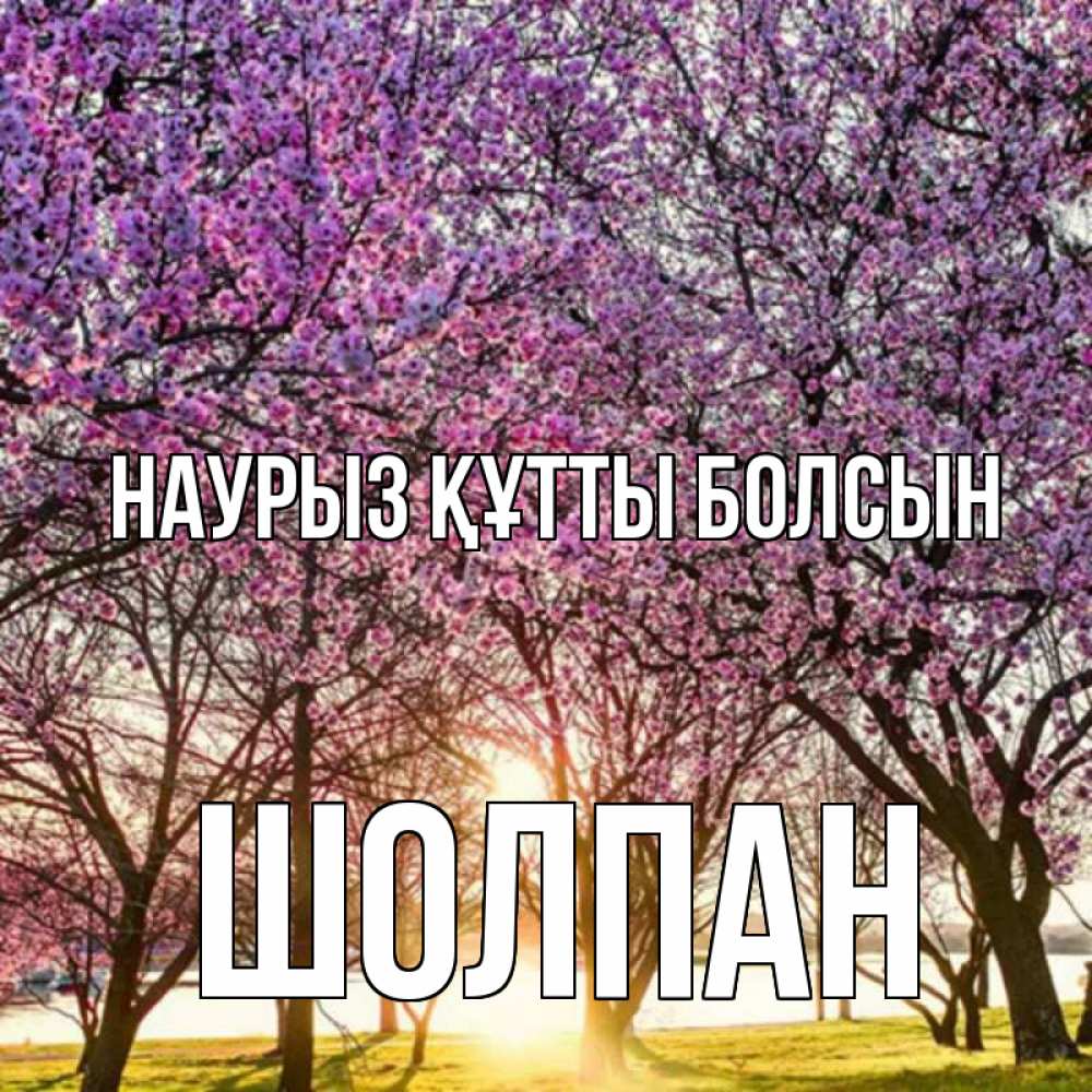 Открытка на каждый день с именем, Шолпан Наурыз құтты болсын наурыз Прикольная открытка с пожеланием онлайн скачать бесплатно 