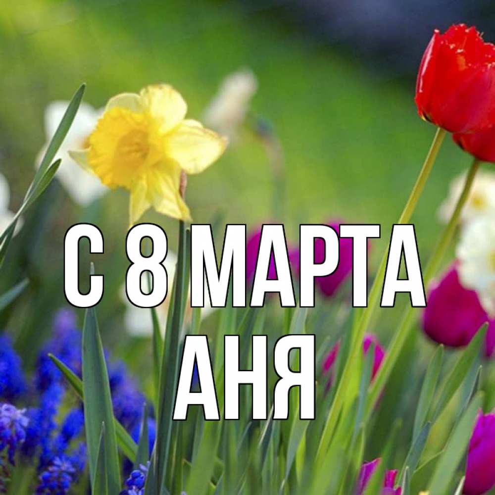 Картинка С 8 МАРТА, АНЯ