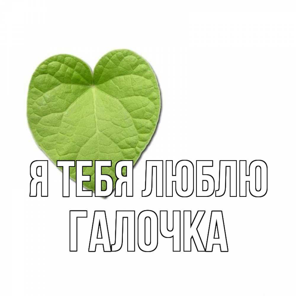 Картинка Я тебя люблю, Галочка