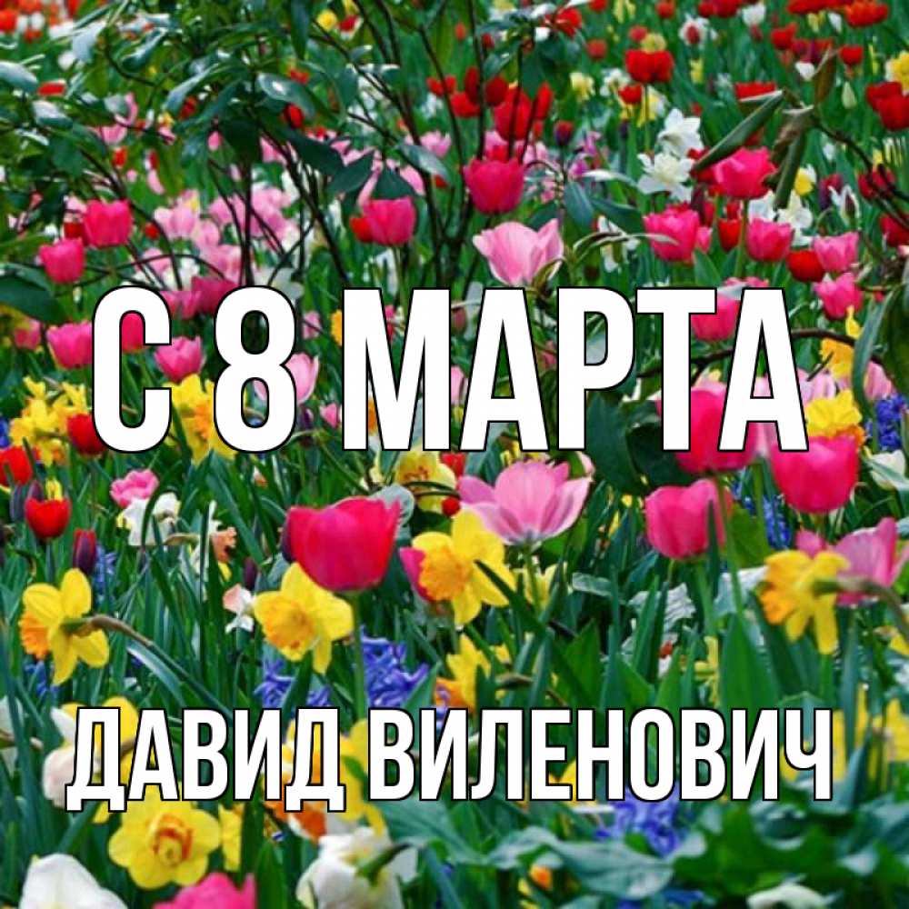 Открытка на каждый день с именем, Давид-Виленович С 8 марта с международным женским днем поздравления для женщины Прикольная открытка с пожеланием онлайн скачать бесплатно 