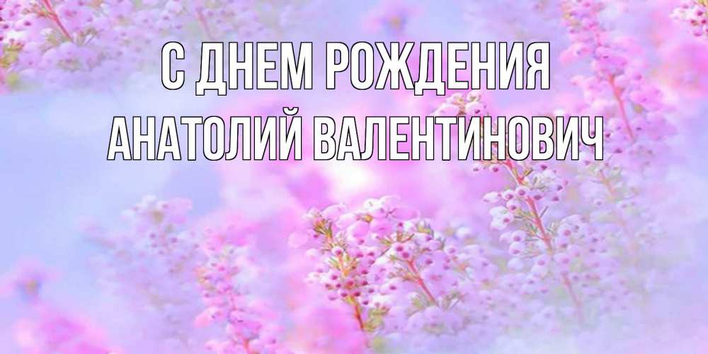 Картинка С днем рождения, Анатолий Валентинович