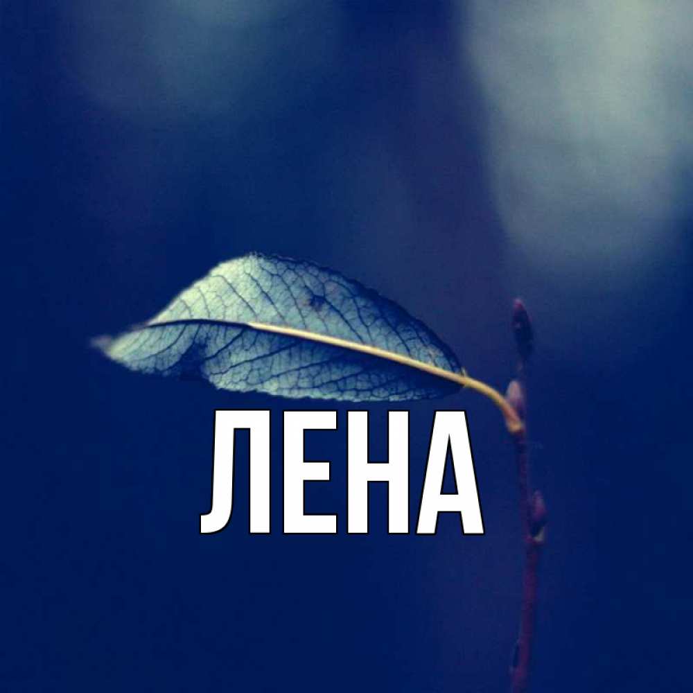 Открытка на каждый день с именем, Лена Главная одна ветка 1 Прикольная открытка с пожеланием онлайн скачать бесплатно 