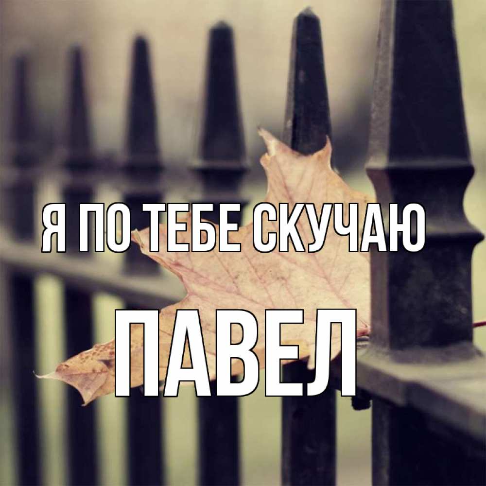 Открытка на каждый день с именем, Павел Я по тебе скучаю очень скучно Прикольная открытка с пожеланием онлайн скачать бесплатно 