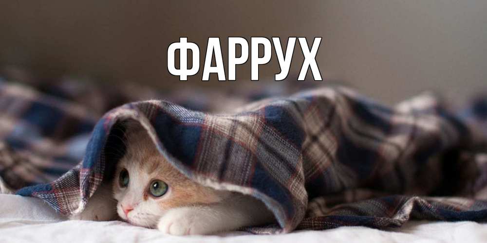 Картинка  с именем , Фаррух