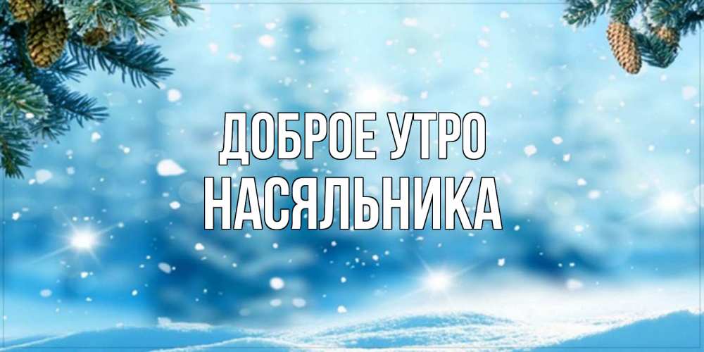 Открытка на каждый день с именем, Насяльника Доброе утро зимнее доброе утро Прикольная открытка с пожеланием онлайн скачать бесплатно 