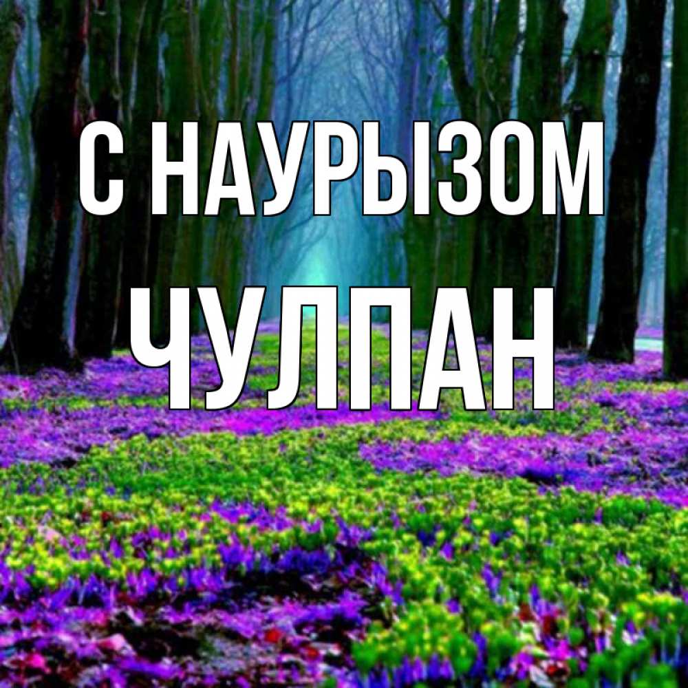 Открытка на каждый день с именем, Чулпан С наурызом фиолетовые цветы в лесу 1 Прикольная открытка с пожеланием онлайн скачать бесплатно 