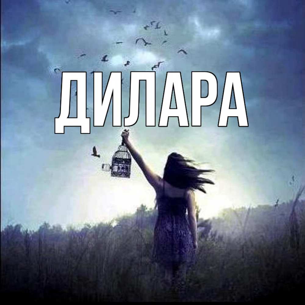 Открытка на каждый день с именем, Дилара Главная на волю Прикольная открытка с пожеланием онлайн скачать бесплатно 