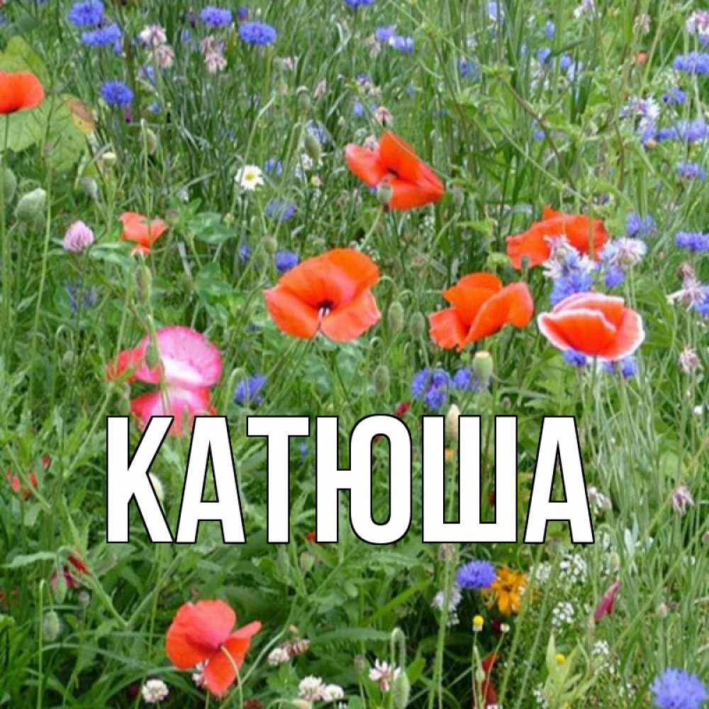 Открытка на каждый день с именем, Катюша Главная наурыз  4 Прикольная открытка с пожеланием онлайн скачать бесплатно 