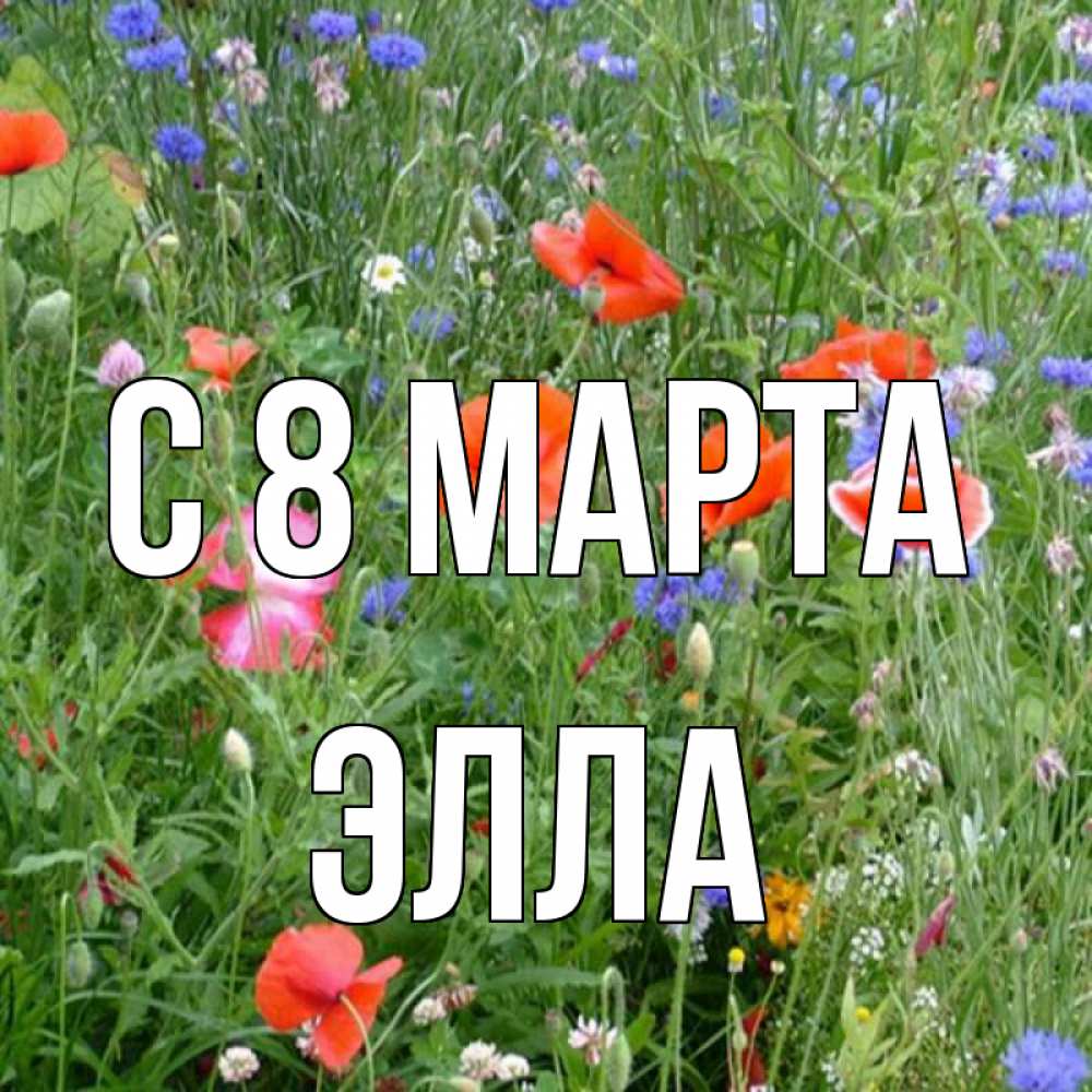 Открытка на каждый день с именем, Элла С 8 МАРТА международный женский день 4 Прикольная открытка с пожеланием онлайн скачать бесплатно 