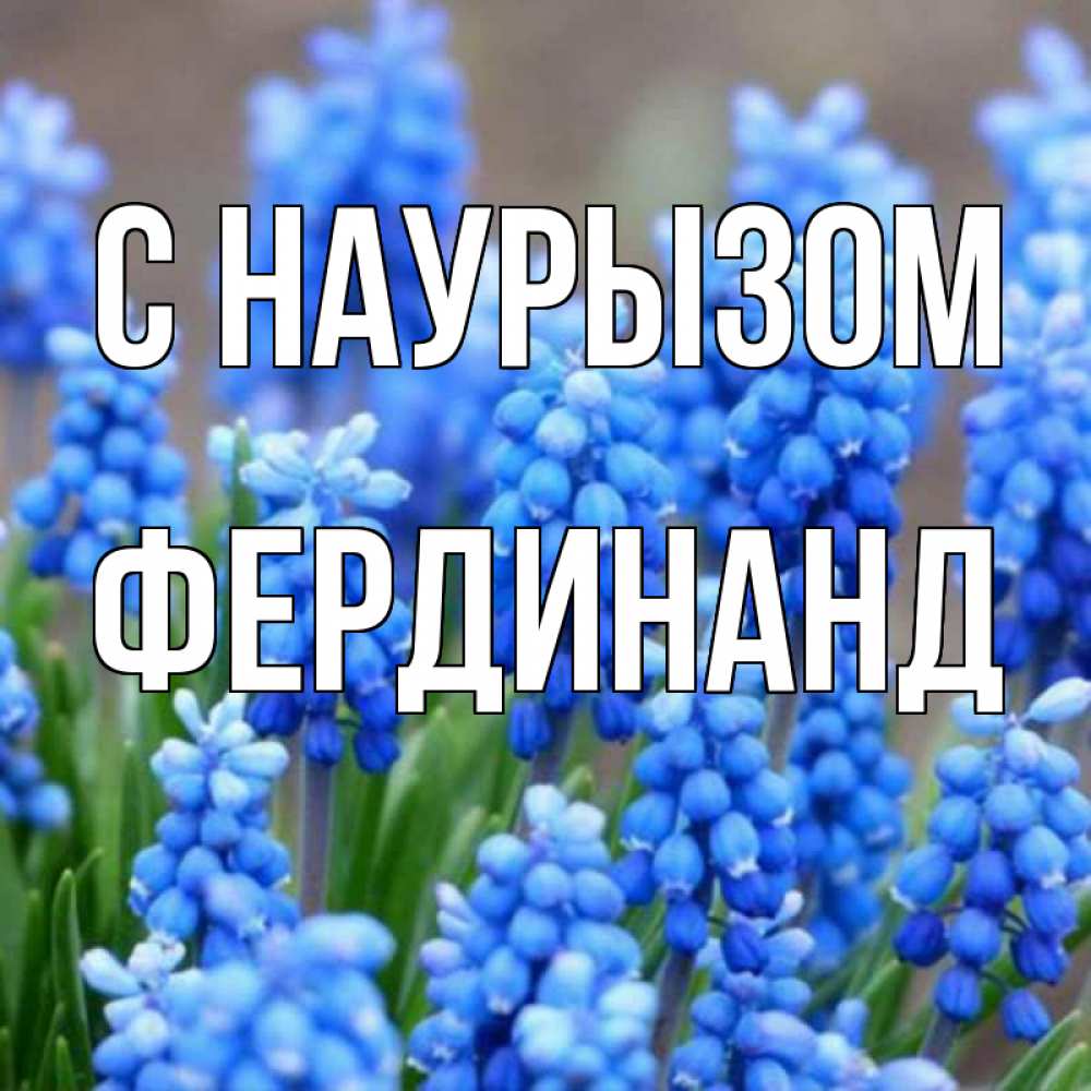 Открытка на каждый день с именем, Фердинанд С наурызом Поздравительная открытка для женщин с цветами на праздничную дату Прикольная открытка с пожеланием онлайн скачать бесплатно 