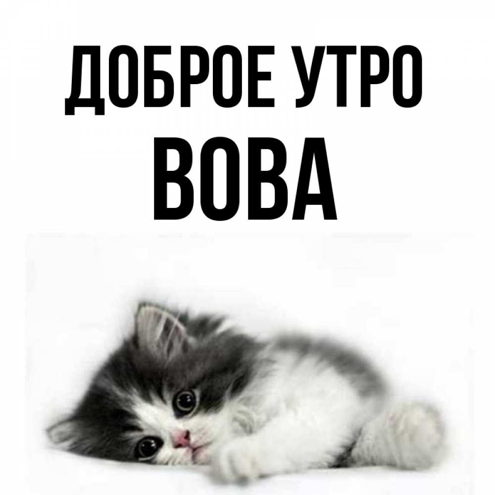 открытки для вовы с добрым утром появления первой фотографии