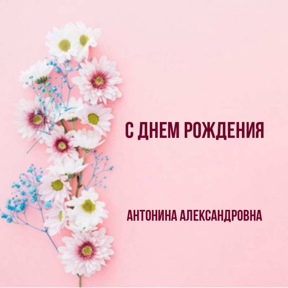 С днем рождения антонина картинки