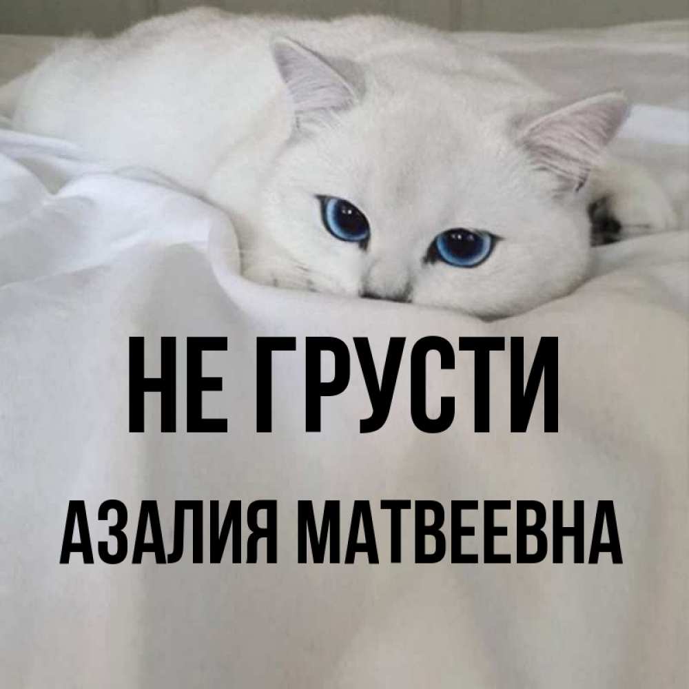 Картинки С Именем Азалия