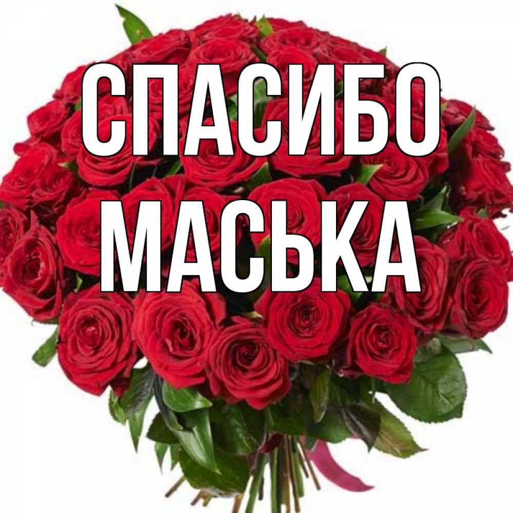 Спасибо димочка картинки