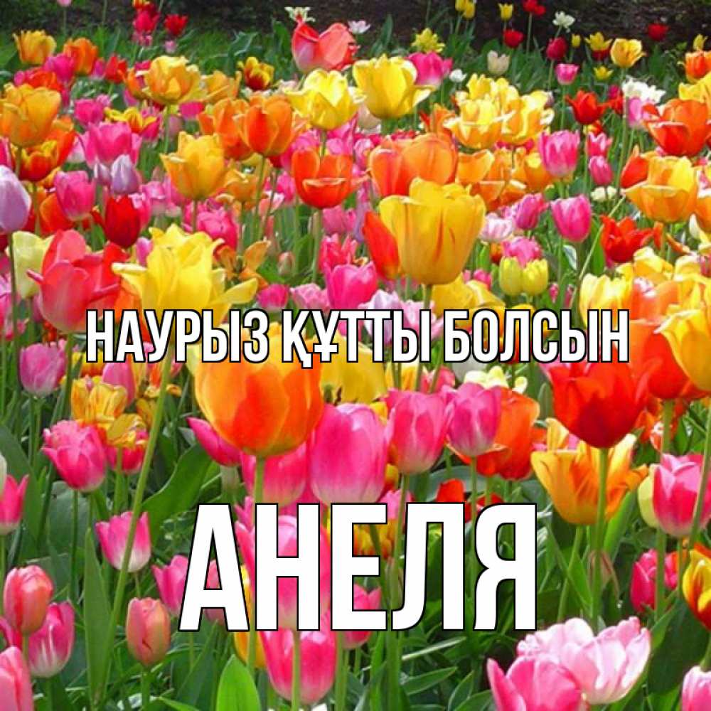 Открытка на каждый день с именем, Анеля Наурыз құтты болсын на наурыз  ура ура Прикольная открытка с пожеланием онлайн скачать бесплатно 