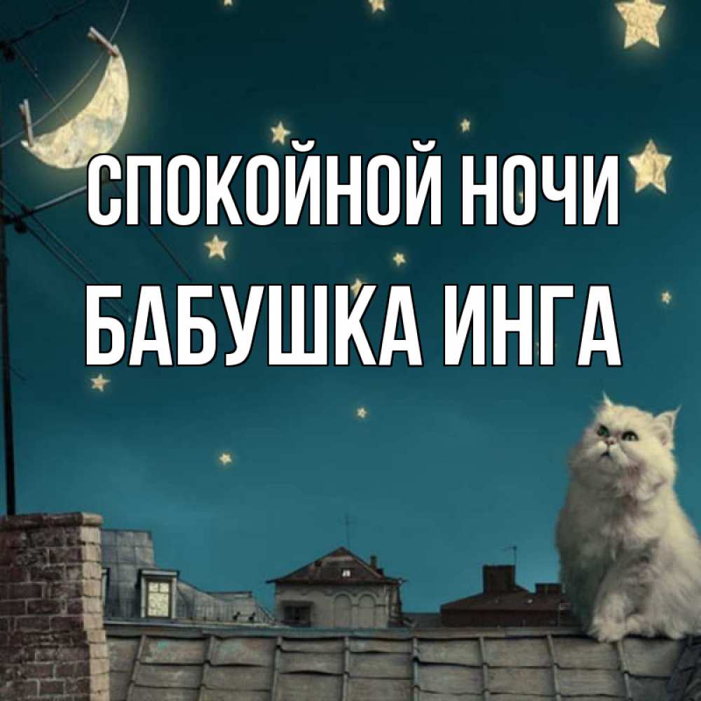 Открытка на каждый день с именем, Бабушка-Инга Спокойной ночи белый кот сидит на крыше Прикольная открытка с пожеланием онлайн скачать бесплатно 