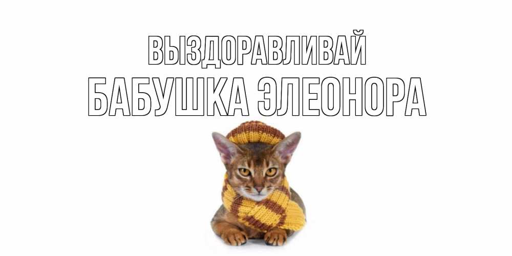 Открытка на каждый день с именем, Бабушка-Элеонора Выздоравливай родные не болейте Прикольная открытка с пожеланием онлайн скачать бесплатно 