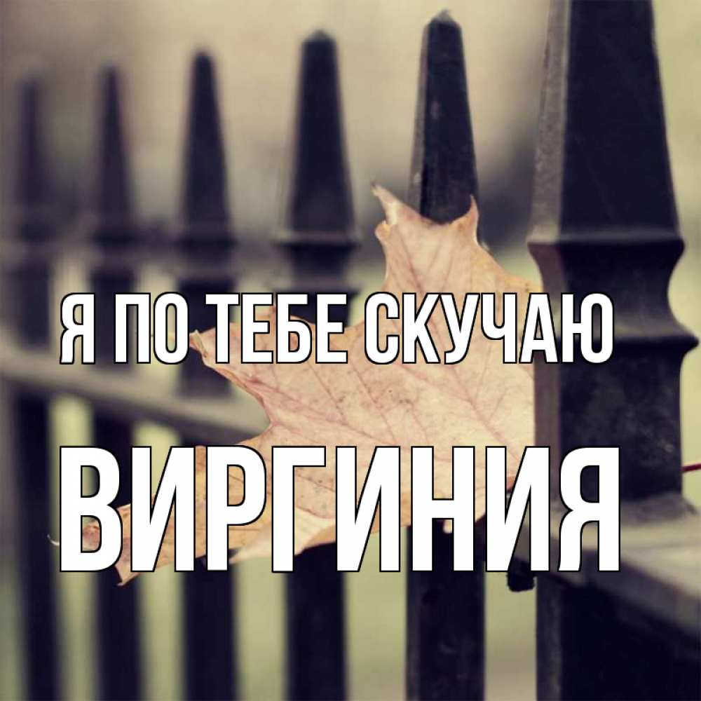 Открытка на каждый день с именем, Виргиния Я по тебе скучаю очень скучно Прикольная открытка с пожеланием онлайн скачать бесплатно 