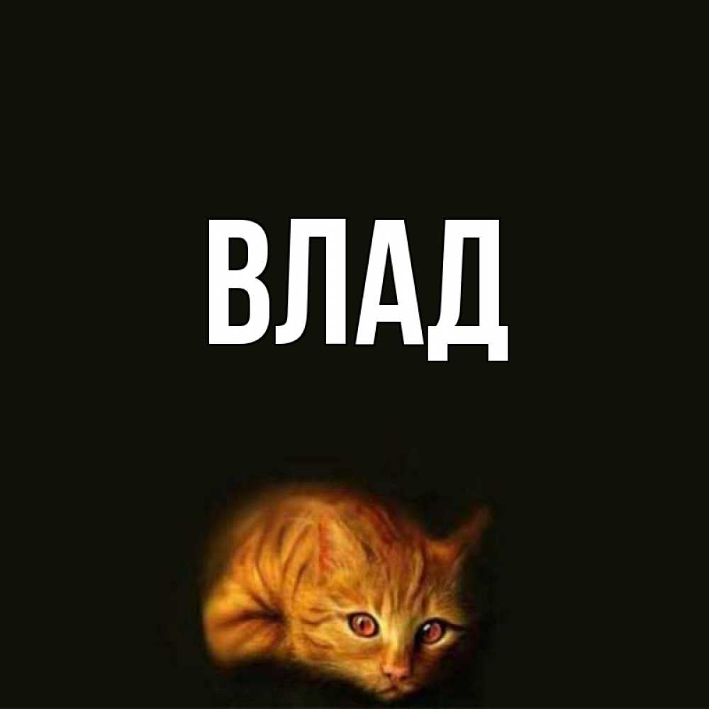 Открытка на каждый день с именем, Влад Главная лежащий кот в темноте Прикольная открытка с пожеланием онлайн скачать бесплатно 